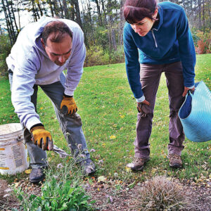 GILLIAN JONES — THE BERKSHIRE EAGLE
Generoso Gallo owner of Berkshire Greenscapes works with Roz Roth, one of his employees, as they deadhead flowers at one of his client’s homes. Roth has been with the business all season and is the kind of employee he values highly. Tuesday, October 31, 2017.